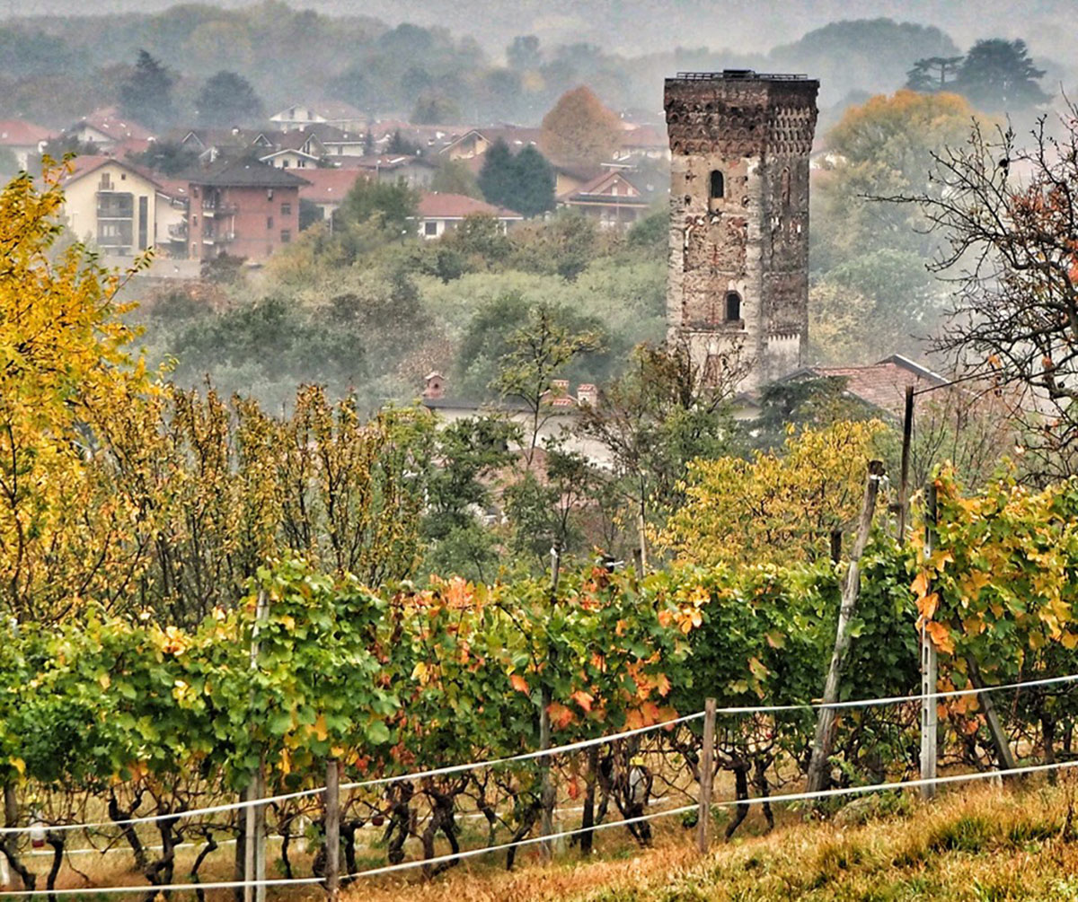 Vigne di Baratuciat a Rivera, con la torre di San Mauro (Paolo Manenti)